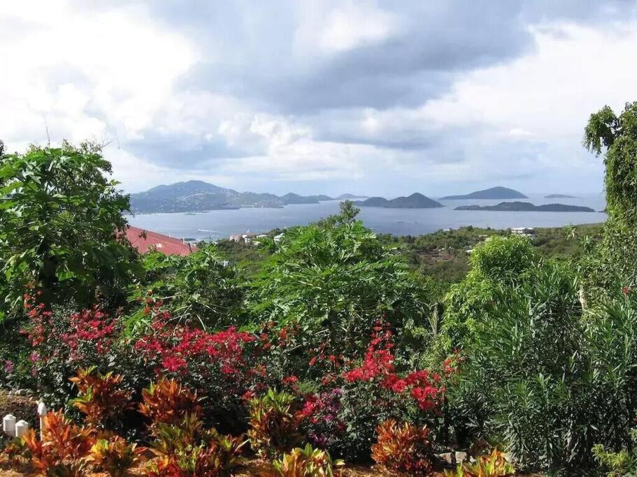 Cielo Vista Villa 3 Bdrm Sleeps 6 Heavenly View Cruz Bay Екстериор снимка